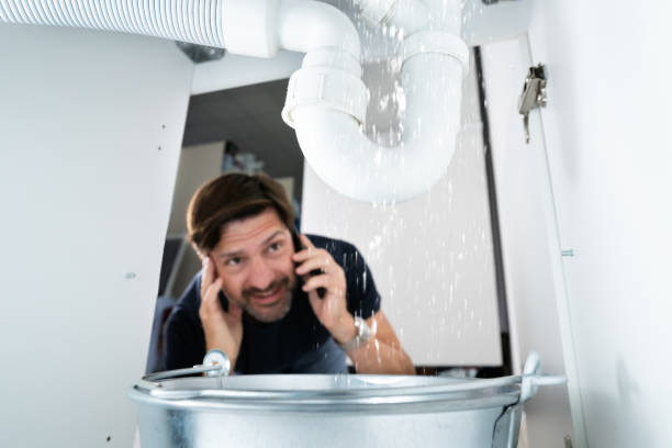 Best Leak Detection Services  in Somerville, TN