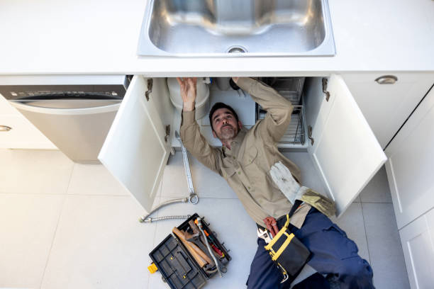 Best Same-Day Plumbing Service  in Somerville, TN