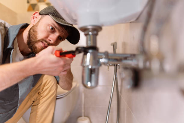 Best Local Plumber Services  in Somerville, TN